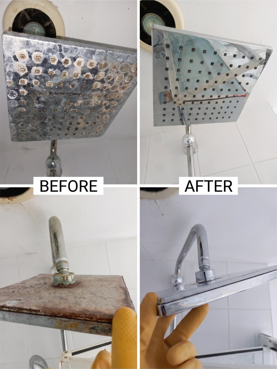 Before and after: limescale removed from a shower head by Glosam Cleaning Service